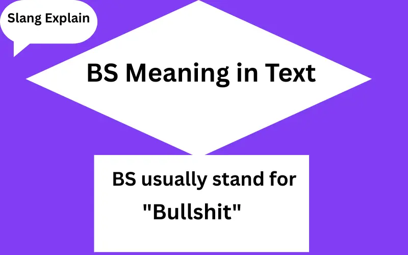 BS Meaning in Text