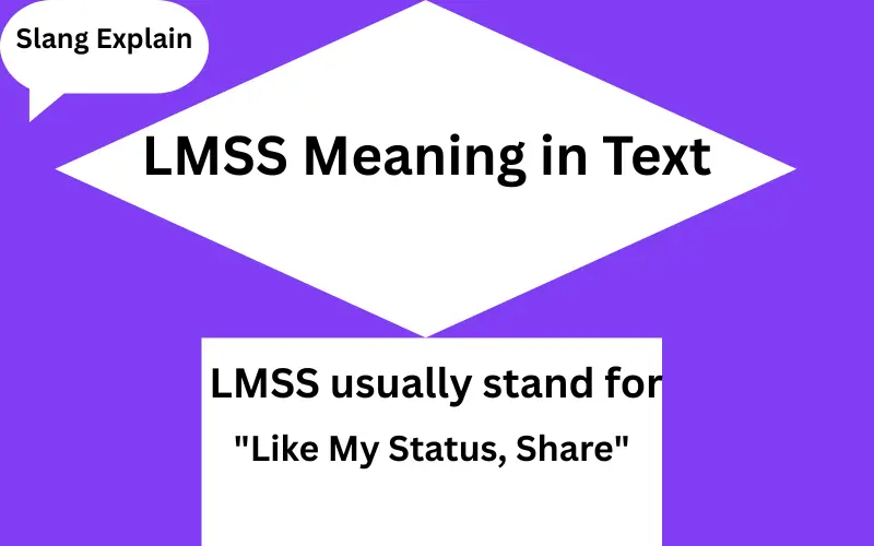 LMSS Meaning in Text