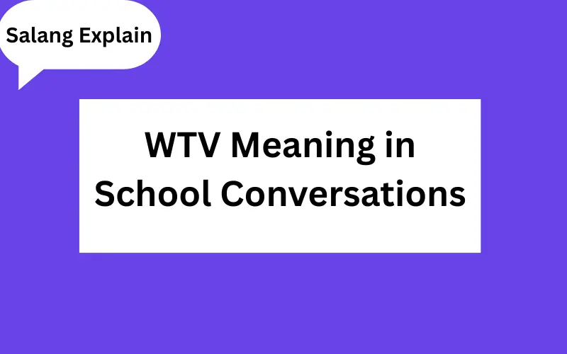 WTV Meaning in Text