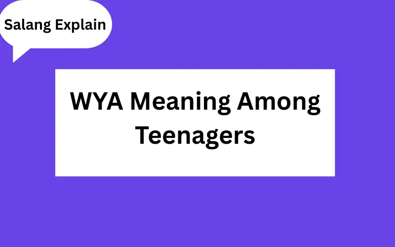 _ WYA Mean in Text