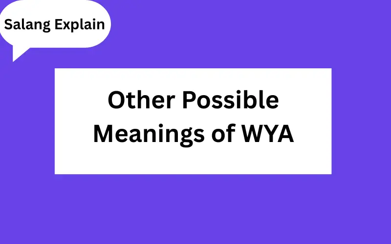 _ WYA Mean in Text