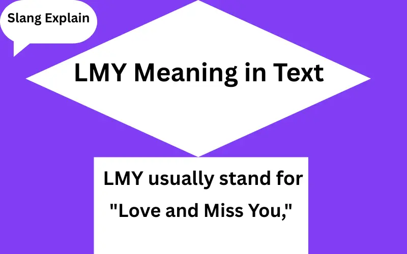 LMY Meaning in Text
