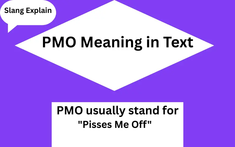 PMO Meaning in Text