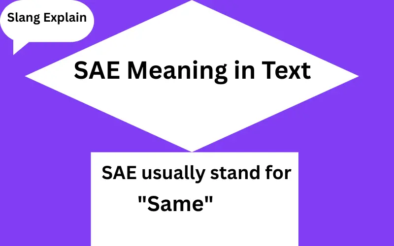 SAE Meaning in Text