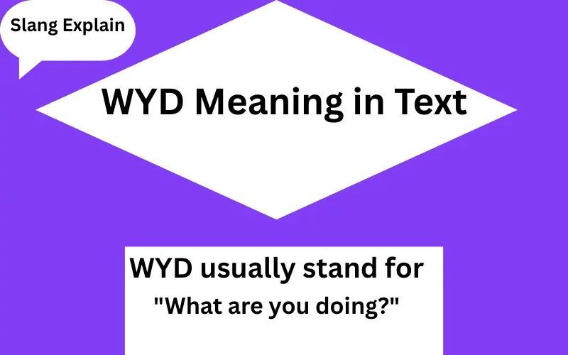 WYD Meaning in Text