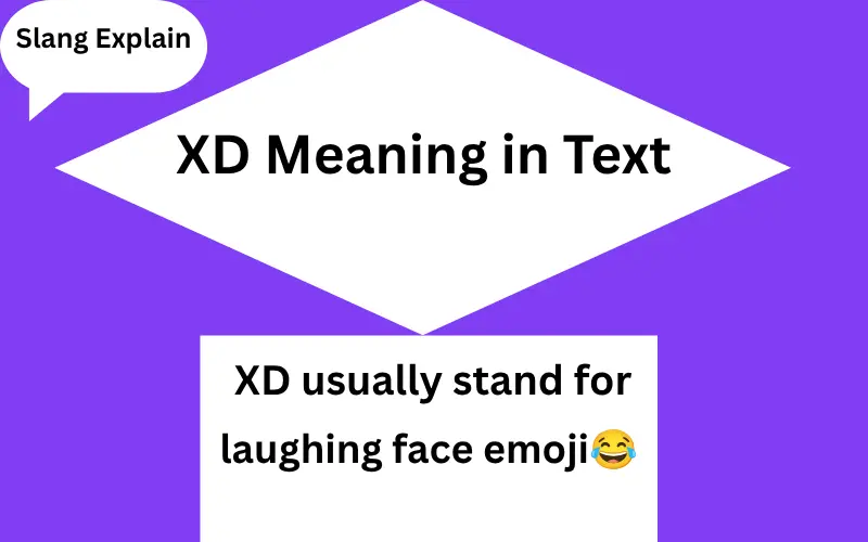 XD Meaning in Text
