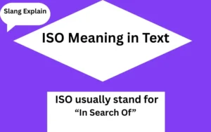 ISO Meaning in Text