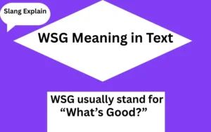WSG Meaning in Text